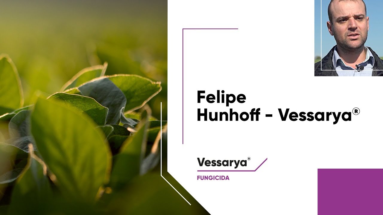 Engenheiro agrônomo Felipe Hunhoff destaca a eficácia de Vessarya®